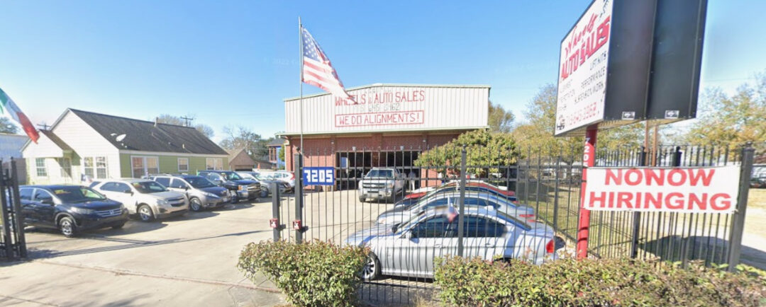 5798417939840044800 (1)